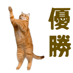 動く！にゃんとも！踊るリアルな猫ミーム