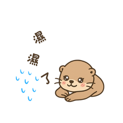 Little Otters in Love