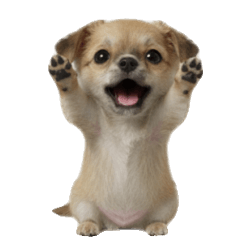 ぷち（犬）リアルバージョン