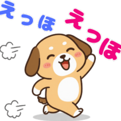 わんこ×ワンコ！！