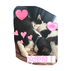 ソルトandカンカン スタンプ!!