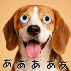 動くおめめ犬-ビーグル