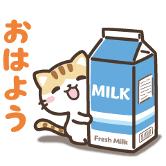 動く！クロときどきミケ【日常】