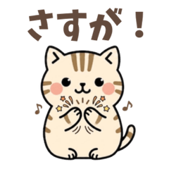 ゆるかわ猫ちゃん☆日常会話
