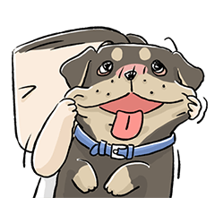 a dog person 2019 (girl version)