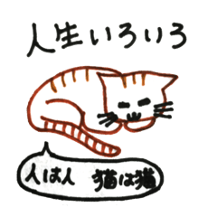 cat techer encouragement