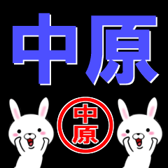 超★中原(なかはら・なかばら)なウサギ