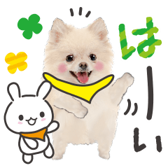 かわいい犬たち　毎日使える