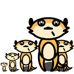 Noisy meerkat family