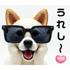 ほめるグラサン犬☆