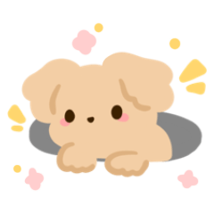 小さなゴールデンレトリバー フェネの日常