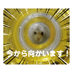 動く！ムギスタンプ