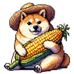 夏の麦わら太っちょ柴犬