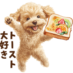 トーストに夢中なトイプードル