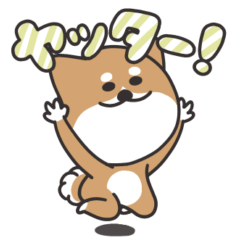 柴犬の柴田くん