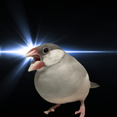 ぶんちょすすずぴ