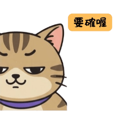 Lazy Meow Daily Life