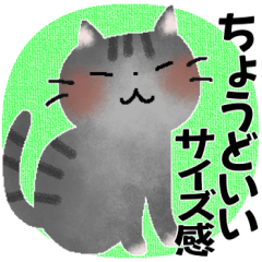 ちょうどいいサイズ感＊花とねこの癒し