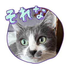 るぅちゃん ·͜·2