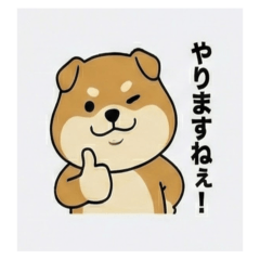 うわさの野犬先輩