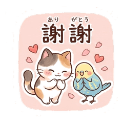 Cuty Cat and Bird Daily