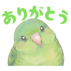 サザナミインコ【グリーン】
