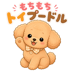 もちもちトイプードル「くるん」
