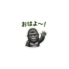 My Gorilla Buddy