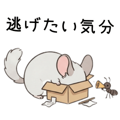 ゆるっとチンチラの本音