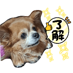 友人、家族、同僚に使える日常会話スタンプ