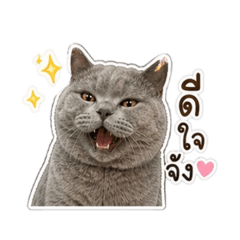 Chablue_20260501163112