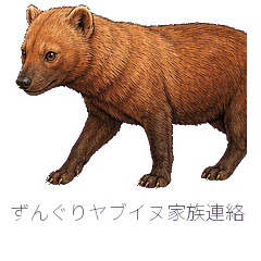 ずんぐりヤブイヌ家族連絡