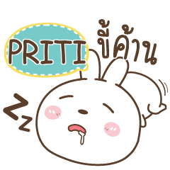 PRITI Bear and Rabbit joker_S e