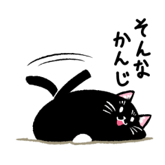 黒猫パーシー