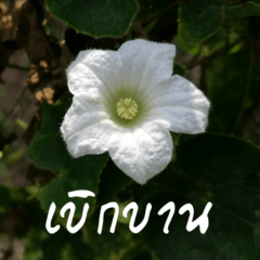 Happy day with photos