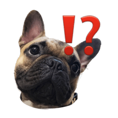 Lily&GenスタンプNo.2