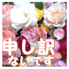 薔薇の花♡アソート11_挨拶メッセージ