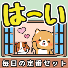 毎日使える♪ずっと定番 #柴犬クッキー6