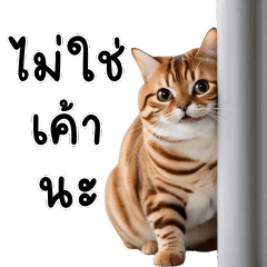 jao larm and jao kao the cat