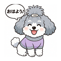 トイプードル　こまつ1