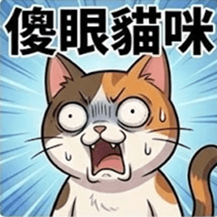 Daily Life of a Mixed-Breed Cat