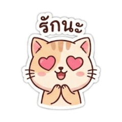 Tazdy_20251214155337