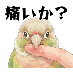 ウロコインコの麦ちゃん（３）容疑者ver.