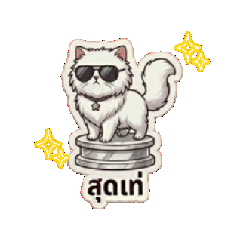 cat mew mew jaaaa