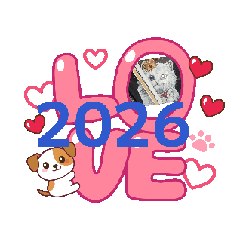 MORIO_20260606081322