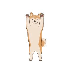 動く！柴犬（赤柴・文字なし）