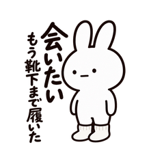 ポンコツうさぎ。【靴下】