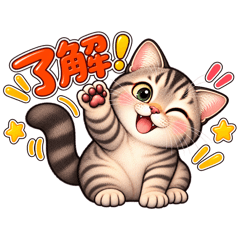 まんまるトラ猫のゆるっと日常