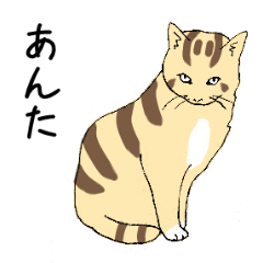 関西のネコ　家族言葉