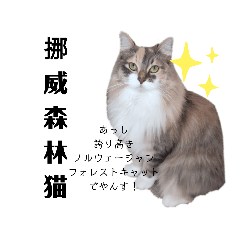 福猫＆花猫〜ちょっと中国語〜